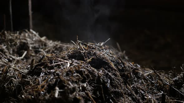 Warm nitrogen rich soil fertilizer close-up 4K 2160p 30fps UltraHD footage - Mixed animal feces and 