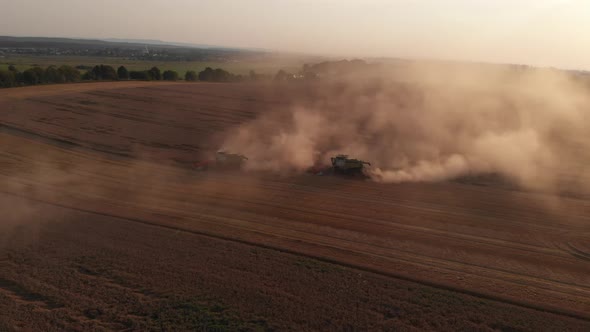 Aerial shot: flying around combines harvesting an summer sunset alt