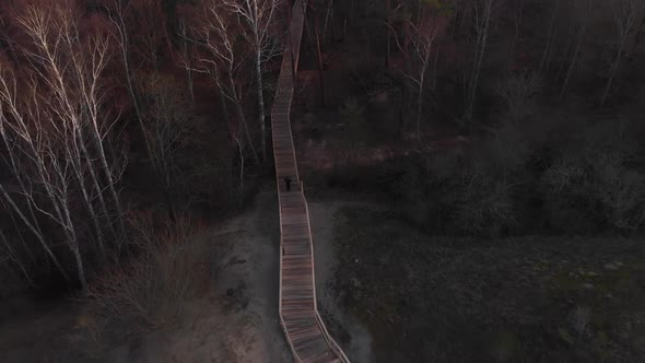 A Man Runs Along a Forest Road alt