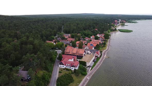 Coastal town Nida surrounded by dense conifer forest, aerial descend view alt