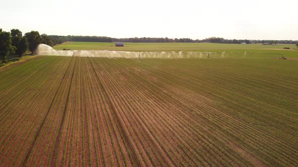    Aerial View Of An Agricultural Sprinkler In Field