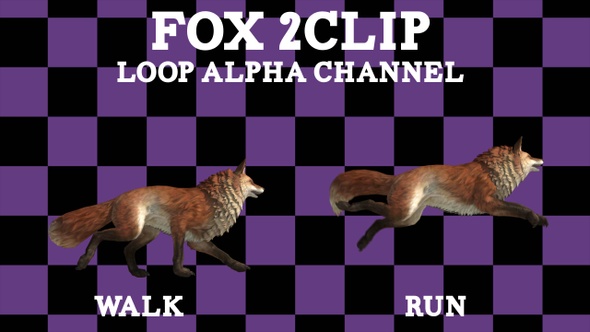 Fox 2 Clip Loop