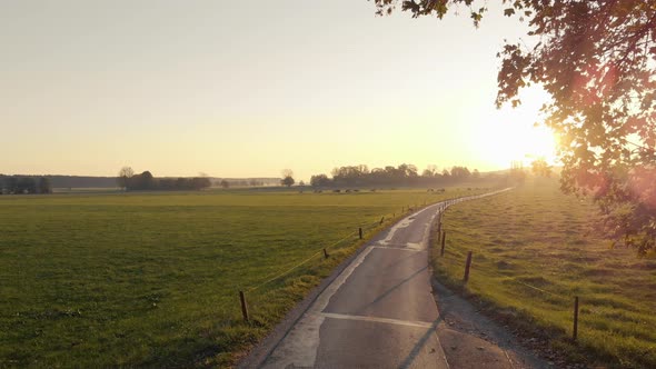 Aerial clip of a field and a little road in the Bavarian Alps area, during sunset. In the background alt