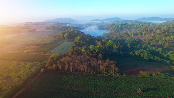 4K : Aerial view from a drone over a rural field at sunrise in Thailand. alt