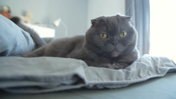 Relaxation and Laziness Concept alt