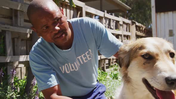 African American man volunteer in a dog shelter alt