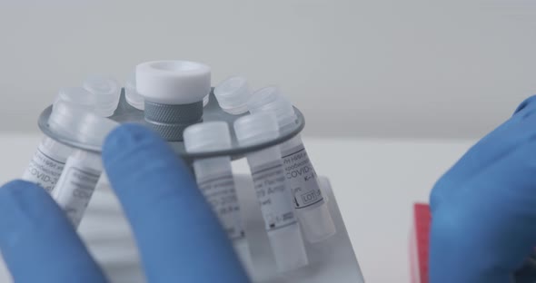 Technician Loads the Samples with the Sample Into the Laboratory Centrifuge alt
