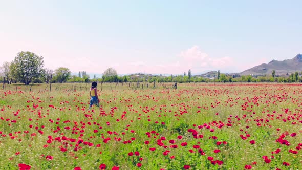 Girl walk in Poppy Field alt