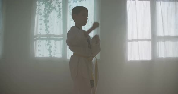 Slow motion footage of a young boy practicing martial arts inside a dojo alt