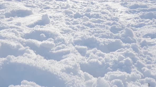 Snow covering hill 4K 2160p UHD video - First snow covering plants outdoor natural 4K 3840X2160 UHD  alt