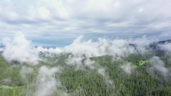 Clouds and Fog Above Forest