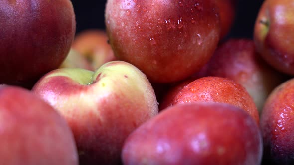 Sweet wet red Peaches and Nectarines