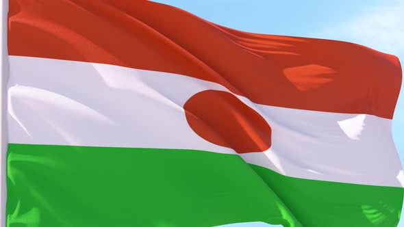 Niger Flag Looping Background