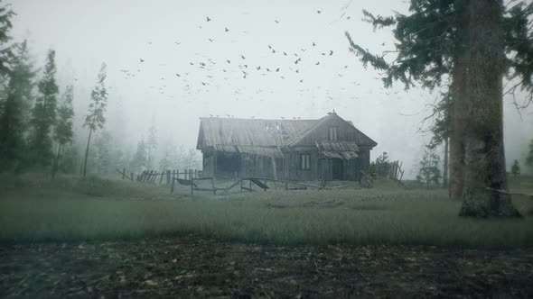 A Spooky Forest Hut