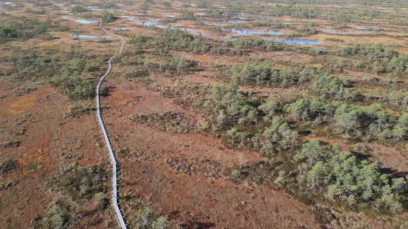 Drone aerial view to Estonian bog alt
