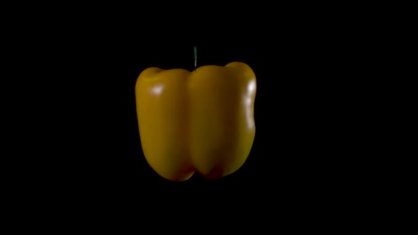 Fresh organic yellow bell pepper turns on black studio background. alt
