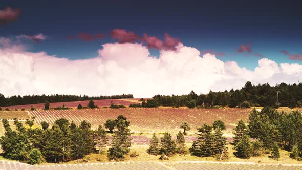 Provence Landscape With Lavender Fields,  France. Timelapse alt
