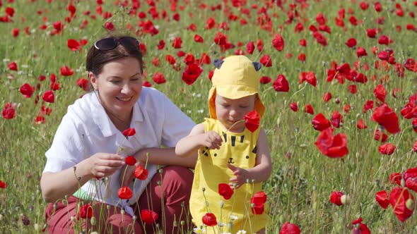 Happy Mother with Baby in Poppy Field on a Sunny Summer Day Smiling Child Toddler with Mother are alt