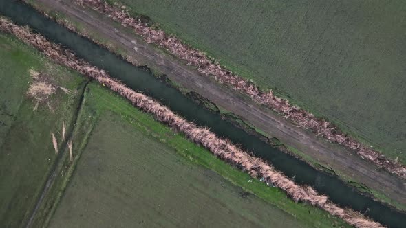 Sunrise Green Farm Field Texture 4 K alt