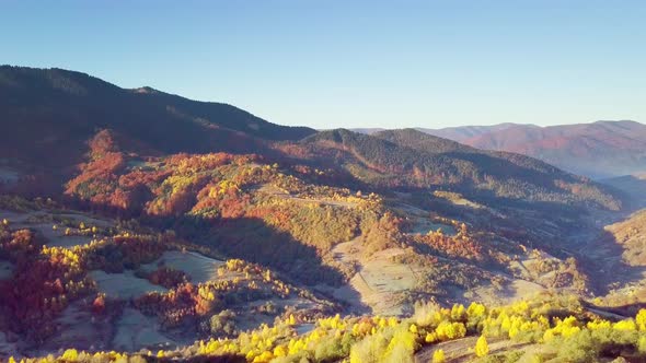 The Mountain Forest on the Background of the Sunset alt
