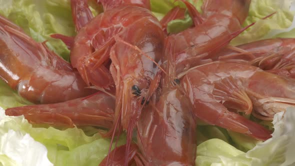 Red shrimp fresh sea food gourmet rotating on salad. Closeup on prawn Argentinian shrimps fresh  sea alt