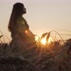 silhouette figure of happy pregnant red-haired young woman in dress standing in ripe wheat field - VideoHive Item for Sale