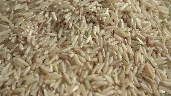 Pouring Rice on the Sack 3 alt