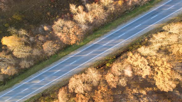 Aerial View of Intercity Road with Fast Driving Cars Between Autumn Forest Trees at Sunset alt