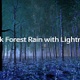 Dark Forest Rain with Lightning