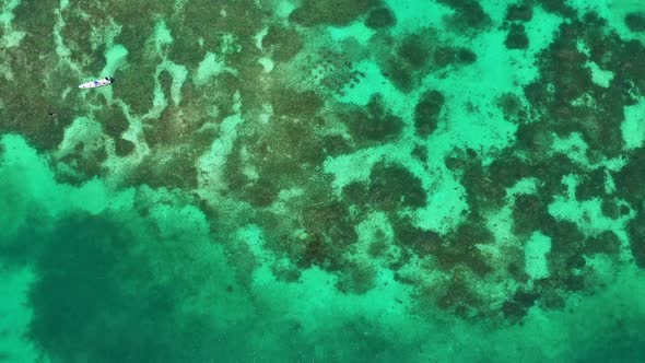 The Coral Reef on a Tropical Island Aerial View