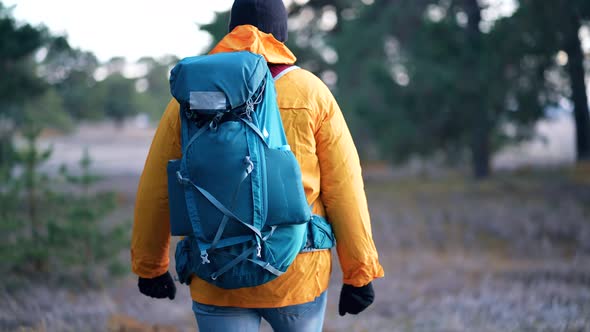Back View Hiker Man Goes with Big Backpack Through Dense Green Forest alt