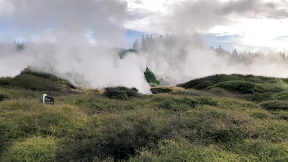 Powerful Geysers of Rotorua New Zealand alt