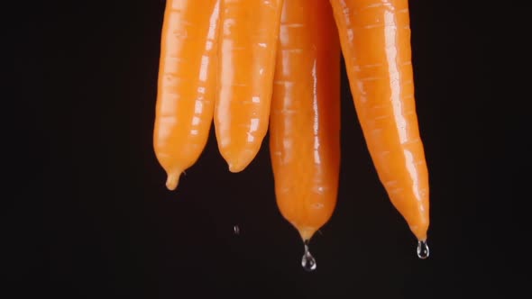 Human Hand Lifts A Carrots From A Water - Drops Falls