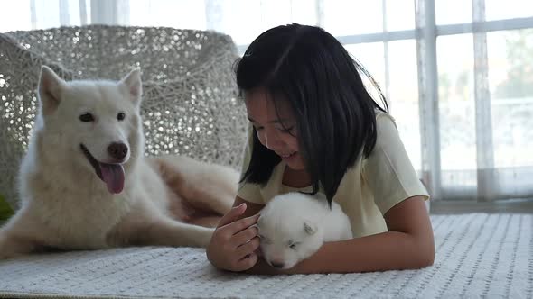 Beautiful Asian Girl Lying With Siberian Husky Puppy alt