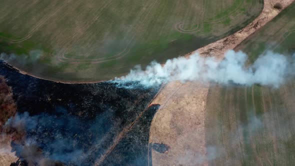Flying above Nature Conflagration in Australia. Burning Old Dry Grass. Flyover Ecology Catastrophe. alt