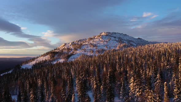Dvuglavaya Hill and Coniferous Forest alt