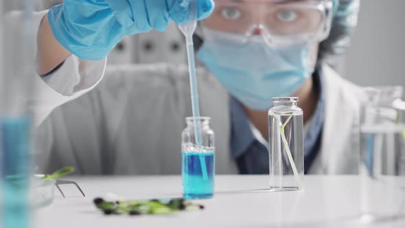 Plant Research Science, Chromosomal Dna And Genetics, Cultivar Development, Scientific Research alt