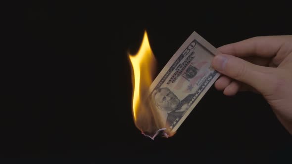 Incineration Of $ 50 Bills On A Black Background. Slow Mo