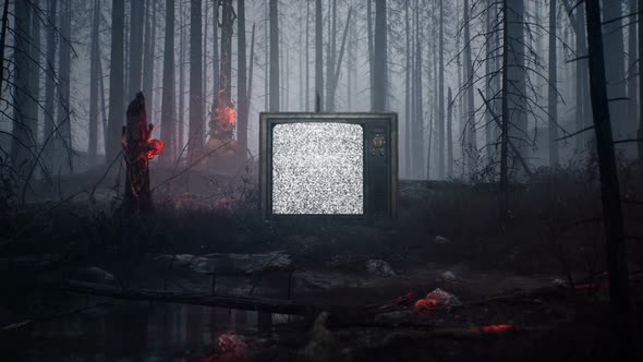 A Vintage Abandoned Television