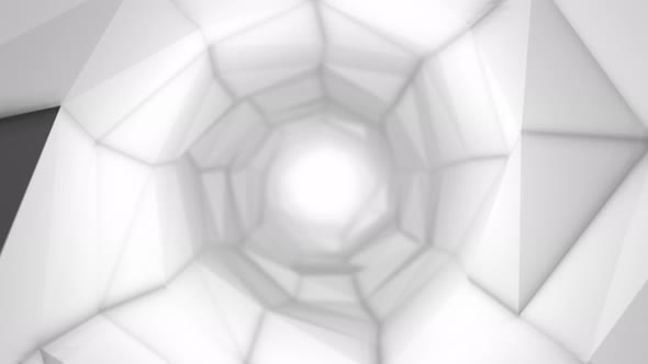 White Low Poly Tunnel Loop