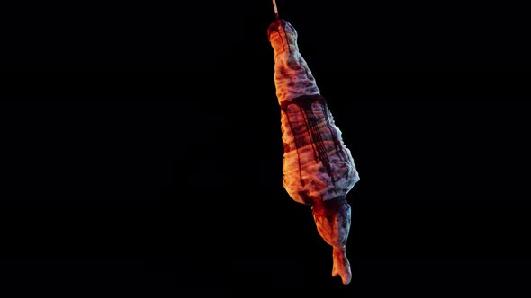 Hanging Corpse VJ Loop alt