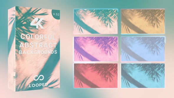 Palm Shadow On The Wall alt