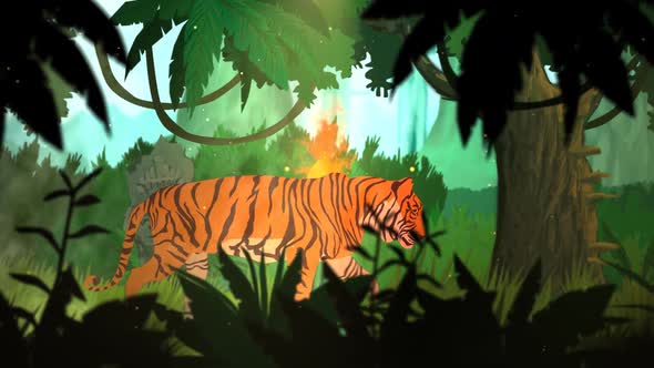 The alone tiger is walking in the dense tropical rainforest at the morning.