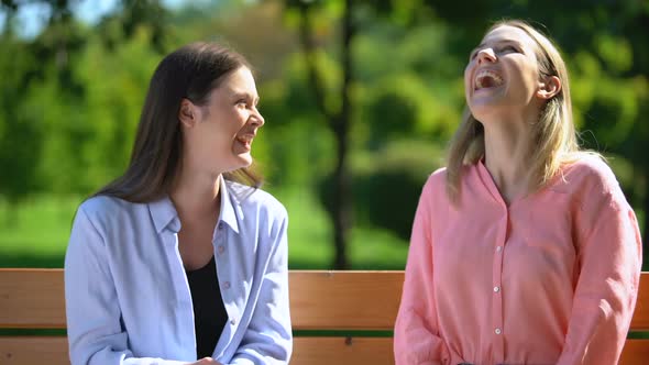 Best Female Friends Sincerely Smiling Spending Time on Bench in Park, Friendship alt