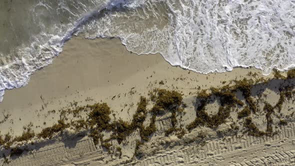 View at Sunny Sand Beach with Rolling Waves in Miami in USA