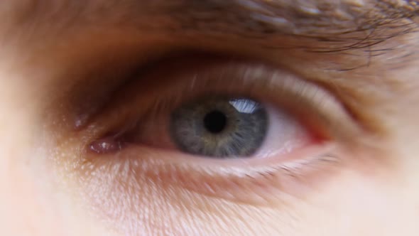 Closeup of a Blue Man's Eye alt