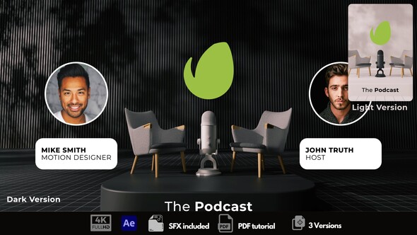 The Podcast Intro Logo Stings template preview