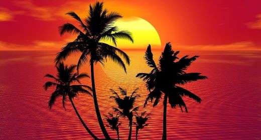 Tropical Summer Tracks