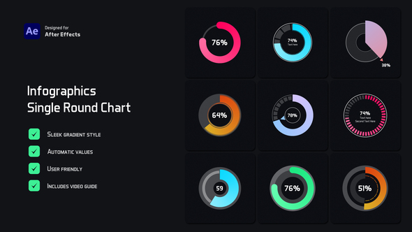 Single Round Chart Infographic Infographics template preview