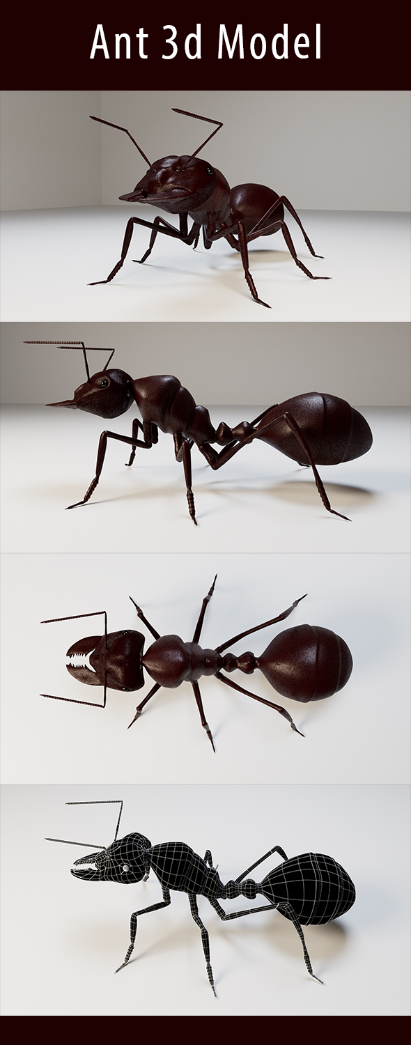 [DOWNLOAD]Ant 3d Model